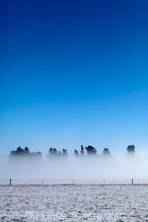 agricultural;agriculture;Aotearoa;big-sky;blue;blue-and-white;blue-skies;blue-sky;Central-Otago;cloudless;cold;cold-freezing;Coldness;country;countryside;extreme-weather;farm;farming;farmland;farms;fence;fence-line;fence-lines;fence_line;fence_lines;fenceline;fencelines;fences;field;fields;fog;foggy;fogs;freeze;freezing;freezing-fog;frost;icy;inversion-layer;inversion-layers;Maniototo;meadow;meadows;mist;mists;misty;N.Z.;New-Zealand;NZ;Otago;paddock;paddocks;pasture;pastures;rural;S.I.;Scenic;Scenics;Season;Seasons;SI;skies;sky;snow;snowy;South-Is;South-Island;Sth-Is;tree;trees;weather;white;winter;Wintertime;wintery;wintry