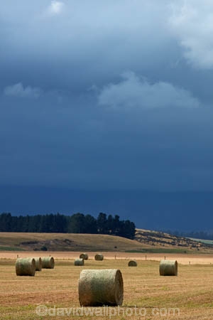 agricultural;agriculture;approaching-storm;approaching-storms;black-cloud;black-clouds;blue;cloud;clouds;cloudy;country;countryside;crop;crops;dark-cloud;dark-clouds;farm;farming;farmland;farms;field;fields;gray-cloud;gray-clouds;green;grey-cloud;grey-clouds;hay;hay-bale;hay-bales;horticulture;Kyeburn;Maniototo;meadow;meadows;N.Z.;New-Zealand;NZ;Otago;paddock;paddocks;pasture;pastures;rain-cloud;rain-clouds;rain-storm;rain-storms;rural;SI;South-Island;storm;storm-cloud;storm-clouds;storms;thunder-storm;thunder-storms;thunderstorm;thunderstorms;weather