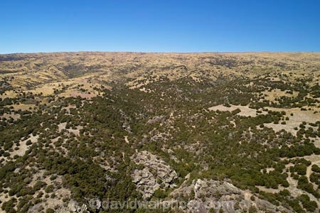 aerial;Aerial-drone;Aerial-drones;aerial-image;aerial-images;aerial-photo;aerial-photograph;aerial-photographs;aerial-photography;aerial-photos;aerial-view;aerial-views;aerials;Aurora-Creek;Bendigo;Central-Otago;Drone;Drones;Dunstan-Mountains;gold-rush;heritage;hiking-path;hiking-paths;hiking-trail;hiking-trails;historic;historic-place;historic-places;historical;historical-place;historical-places;history;Kanuka;Kanuka-Forest;Kanuka-Tree;Kanuka-Trees;N.Z.;native-bush;native-forest;native-trees;New-Zealand;NZ;old;Otago;path;paths;pathway;pathways;Remnant-forest;Remnant-kanuka-forest;Remnant-native-forest;route;routes;S.I.;SI;South-Is;South-Island;track;tracks;tradition;traditional;trail;trails;tramping-trail;tramping-trails;walking-path;walking-paths;walking-trail;walking-trails;walkway;walkways;Kunzea-ericoides