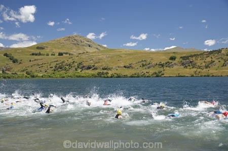 freestyle;Lake-Hayes;Lake-Hayes-Triathalon;multi-sport;multi_sport;multisport;New-Zealand;Otago;Queenstown;race;racers;races;racing;South-Island;splash;splashing;sport;sports;sportsman;sportsmen;sportswoman;sportswomen;swim;swimmer;Swimmers;Triathalon;triathalons;triathlon;triathlons