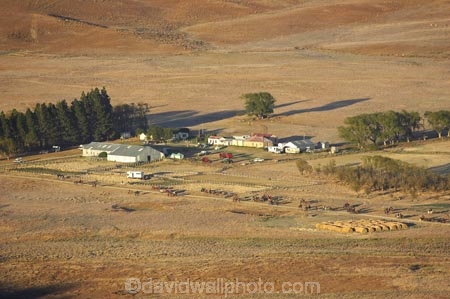 agricultural;agriculture;back-country;backcountry;Ben-Nevis-Station;cavalcade;Central-Otago;Central-Otago-Cavalcade;country;countryside;cow-boy;cow-boys;cowboy;cowboys;equestrian;farm;Farm-animals;Farm-Building;Farm-Buildings;Farm-Shed;Farm-Sheds;farming;farmland;farms;field;fields;high-country;high-country-station;high-country-stations;Highcountry;highland;highlands;horse;horse-rider;horse-riders;horseback;horseman;horsemen;horses;meadow;meadows;N.Z.;Nevis-Road;Nevis-Valley;New-Zealand;NZ;paddock;paddocks;pasture;pastures;rider;riders;rural;S.I.;Shearing-Shed;Shearing-Sheds;Sheep-Shed;Sheep-Sheds;sheep-station;sheep-stations;SI;South-Island;stockman;stockmen;Wool-Shed;Wool-Sheds
