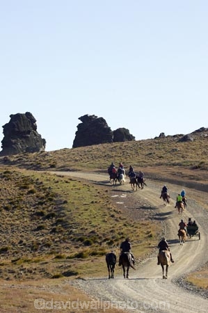 back-country;backcountry;Carrick-Range;cavalcade;Central-Otago;Central-Otago-Cavalcade;cow-boy;cow-boys;cowboy;cowboys;Duffers-Saddle;equestrian;high-country;Highcountry;highland;highlands;horse;horse-rider;horse-riders;horseback;horseman;horsemen;horses;N.Z.;Nevis-Road;Nevis-Valley;New-Zealand;NZ;rider;riders;S.I.;SI;South-Island;stockman;stockmen