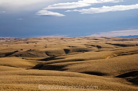 back-country;backcountry;Central-Otago;country;countryside;farm;farming;farmland;farms;field;fields;high-country;highcountry;highland;highlands;Lammermoor-Range;Lammermoor-Ranges;Maniototo;N.Z.;New-Zealand;NZ;Old-Dunstan-Road;Old-Dunstan-Track;Old-Dunstan-Trail;Otago;rural;S.I.;SI;South-Island;tussock;tussocks