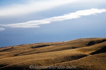 back-country;backcountry;Central-Otago;country;countryside;farm;farming;farmland;farms;field;fields;high-country;highcountry;highland;highlands;Lammermoor-Range;Lammermoor-Ranges;Maniototo;N.Z.;New-Zealand;NZ;Old-Dunstan-Road;Old-Dunstan-Track;Old-Dunstan-Trail;Otago;rural;S.I.;SI;South-Island