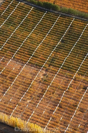 aerial;aerial-photo;aerial-photograph;aerial-photographs;aerial-photography;aerial-photos;aerial-view;aerial-views;aerials;Alexandra;autuminal;autumn;autumn-colour;autumn-colours;autumnal;Central-Otago;cherry-orchard;color;colors;colour;colours;country;countryside;crop;crops;deciduous;Earnscleugh;fall;farm;farming;farmland;farms;field;fruit;fruit-tree;fruit-trees;horticulture;N.Z.;New-Zealand;NZ;orange;orchard;orchards;Otago;pattern;patterns;poplar;poplar-tree;Poplar-Trees;poplars;row;rows;rural;S.I.;season;seasonal;seasons;shape;shapes;SI;South-Is.;South-Island;tree;trees