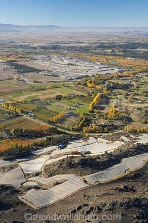 aerial;aerial-photo;aerial-photograph;aerial-photographs;aerial-photography;aerial-photos;aerial-view;aerial-views;aerials;agricultural;agriculture;Alexandra;autuminal;autumn;autumn-colour;autumn-colours;autumnal;Black-Ridge-Vineyard;Central-Otago;central-otago-vineyard;central-otago-vineyards;central-otago-wineries;central-otago-winery;color;colors;colour;colours;country;countryside;crop;crops;cultivation;deciduous;Earnscleugh;fall;farm;farming;farmland;farms;field;fields;fruit;fruit-tree;fruit-trees;grape;grapes;grapevine;horticulture;meadow;meadows;N.Z.;new-zealand;NZ;orchard;orchards;Otago;paddock;paddocks;pasture;pastures;row;rows;rural;S.I.;season;seasonal;seasons;SI;South-Is.;South-Island;tree;trees;vine;vines;vineyard;vineyards;vintage;wineage;wineries;winery;wines