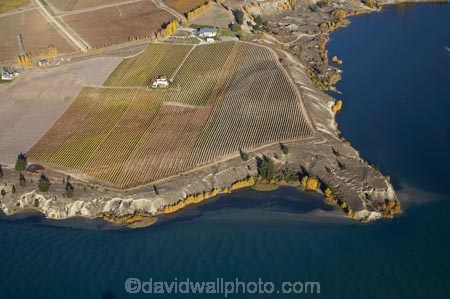 aerial;aerial-photo;aerial-photograph;aerial-photographs;aerial-photography;aerial-photos;aerial-view;aerial-views;aerials;agricultural;agriculture;autuminal;autumn;autumn-colour;autumn-colours;autumnal;Bannockburn;Bannockburn-Inlet;Cairnmuir-Terraces;Cairnmuir-Vineyard;Cairnmuir-Vineyards;Carrick-Vineyard;Carrick-Vineyards;Carrick-Winery;Carrick-Wines;Central-Otago;central-otago-vineyard;central-otago-vineyards;central-otago-wineries;central-otago-winery;color;colors;colour;colours;country;countryside;crop;crops;cultivation;deciduous;fall;farm;farming;farmland;farms;field;fields;grape;grapes;grapevine;horticulture;hydro-lake;hydro-lakes;Kawarau-Arm;lake;Lake-Dunstan;lakes;N.Z.;New-Zealand;NZ;Otago;ripple;rippled;ripples;row;rows;rural;S.I.;season;seasonal;seasons;SI;silt-up;siltation;silted;South-Is.;south-island;tree;trees;vine;vines;vineyard;vineyards;vintage;water;wineage;wineries;winery;wines