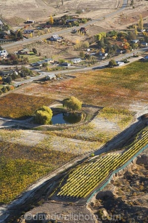 aerial;aerial-photo;aerial-photograph;aerial-photographs;aerial-photography;aerial-photos;aerial-view;aerial-views;aerials;agricultural;agriculture;autuminal;autumn;autumn-colour;autumn-colours;autumnal;Bannockburn;Central-Otago;central-otago-vineyard;central-otago-vineyards;central-otago-wineries;central-otago-winery;color;colors;colour;colours;country;countryside;crop;crops;cultivation;deciduous;Domain-Rd-Vineyard;Domain-Road-Vineyard;Domain-Road-Winery;Domain-Road-Wines;fall;farm;farming;farmland;farms;field;fields;grape;grapes;grapevine;horticulture;N.Z.;New-Zealand;NZ;Otago;row;rows;rural;S.I.;season;seasonal;seasons;SI;South-Is.;south-island;tree;trees;vine;vines;vineyard;vineyards;vintage;wineage;wineries;winery;wines