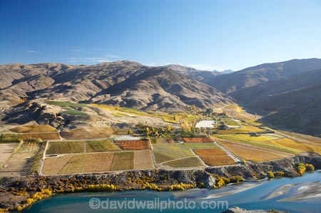 aerial;aerial-photo;aerial-photograph;aerial-photographs;aerial-photography;aerial-photos;aerial-view;aerial-views;aerials;agricultural;agriculture;autuminal;autumn;autumn-colour;autumn-colours;autumnal;Bannockburn;Carrick-Range;Central-Otago;central-otago-vineyard;central-otago-vineyards;central-otago-wineries;central-otago-winery;color;colors;colour;colours;country;countryside;crop;crops;cultivation;deciduous;fall;farm;farming;farmland;farms;Felton-Road-Vineyard;Felton-Road-Vineyards;Felton-Road-Winery;Felton-Road-Wines;field;fields;grape;grapes;grapevine;horticulture;hydro-lake;hydro-lakes;Kawarau-Arm;lake;Lake-Dunstan;lakes;Long-Gully;Mount-Difficulty-Vineyard;Mount-Difficulty-Vineyards;Mount-Difficulty-Winery;Mount-Difficulty-Wines;Mt-Difficulty-Vineyard;Mt-Difficulty-Vineyards;Mt-Difficulty-Winery;Mt-Difficulty-Wines;Mt.-Difficulty-Vineyard;Mt.-Difficulty-Vineyards;Mt.-Difficulty-Winery;Mt.-Difficulty-Wines;N.Z.;New-Zealand;NZ;Olsens-Garden-Vineyard;Olsens-Vineyard;Olsens-Winery;Olsens-Garden-Vineyard;Olsens-Vineyard;Olsens-Winery;Otago;row;rows;rural;S.I.;season;seasonal;seasons;SI;silt-up;siltation;silting;silting-up;South-Is.;south-island;tree;trees;vine;vines;vineyard;vineyards;vintage;water;wineage;wineries;winery;wines