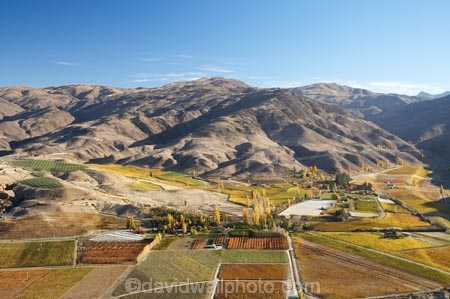 aerial;aerial-photo;aerial-photograph;aerial-photographs;aerial-photography;aerial-photos;aerial-view;aerial-views;aerials;agricultural;agriculture;autuminal;autumn;autumn-colour;autumn-colours;autumnal;Bannockburn;Carrick-Range;Central-Otago;central-otago-vineyard;central-otago-vineyards;central-otago-wineries;central-otago-winery;color;colors;colour;colours;country;countryside;Cromwell;crop;crops;cultivation;deciduous;fall;farm;farming;farmland;farms;Felton-Road-Vineyard;field;fields;fruit;fruit-tree;fruit-trees;grape;grapes;grapevine;horticulture;N.Z.;new-zealand;NZ;Olsens-Vineyard;orchard;orchards;Otago;row;rows;rural;S.I.;season;seasonal;seasons;SI;South-Is.;south-island;tree;trees;vine;vines;vineyard;vineyards;vintage;wineage;wineries;winery;wines