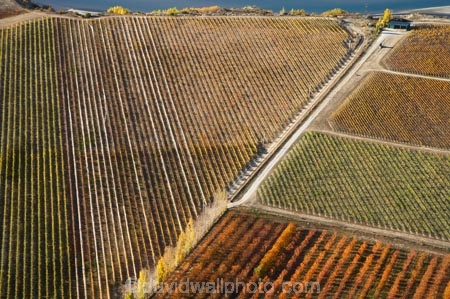 aerial;aerial-photo;aerial-photograph;aerial-photographs;aerial-photography;aerial-photos;aerial-view;aerial-views;aerials;agricultural;agriculture;autuminal;autumn;autumn-colour;autumn-colours;autumnal;Bannockburn;Central-Otago;central-otago-vineyard;central-otago-vineyards;central-otago-wineries;central-otago-winery;color;colors;colour;colours;country;countryside;crop;crops;cultivation;deciduous;fall;farm;farming;farmland;farms;field;fields;grape;grapes;grapevine;horticulture;Mount-Difficulty-Vineyard;Mount-Difficulty-Vineyards;Mount-Difficulty-Winery;Mount-Difficulty-Wines;Mt-Difficulty-Vineyard;Mt-Difficulty-Vineyards;Mt-Difficulty-Winery;Mt-Difficulty-Wines;Mt.-Difficulty-Vineyard;Mt.-Difficulty-Vineyards;Mt.-Difficulty-Winery;Mt.-Difficulty-Wines;N.Z.;New-Zealand;NZ;Otago;row;rows;rural;S.I.;season;seasonal;seasons;SI;South-Is.;south-island;tree;trees;vine;vines;vineyard;vineyards;vintage;wineage;wineries;winery;wines