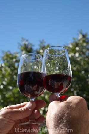 alcohol;Central-Otago;event;events;Food-and-Wine-Festival;Food-and-Wine-Festivals;glass;glasses;N.Z.;New-Zealand;NZ;Otago;people;pinot-noir;red-wine;red-wines;S.I.;SI;South-Island;summer;tasting;tent-city;test-colour;Vino-and-Victuals;Vino-and-Victual’s-Food-and-Wine-Festival;wine;wines