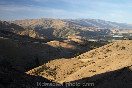 back-country;backcountry;Bannockburn;Carrick-Range;Central-Otago;high-altitude;high-country;highcountry;highlands;Mount-Michael;Mt-Michael;Mt.-Michael;N.Z.;New-Zealand;NZ;Otago;Pisa-Range;remote;remoteness;S.I.;SI;South-Island;tussock;tussock-grass;tussocks;uplands