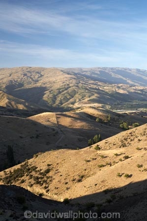 back-country;backcountry;Bannockburn;Carrick-Range;Central-Otago;high-altitude;high-country;highcountry;highlands;Mount-Michael;Mt-Michael;Mt.-Michael;N.Z.;New-Zealand;NZ;Otago;Pisa-Range;remote;remoteness;S.I.;SI;South-Island;tussock;tussock-grass;tussocks;uplands