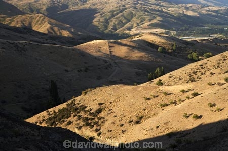back-country;backcountry;Bannockburn;Carrick-Range;Central-Otago;high-altitude;high-country;highcountry;highlands;Mount-Michael;Mt-Michael;Mt.-Michael;N.Z.;New-Zealand;NZ;Otago;Pisa-Range;remote;remoteness;S.I.;SI;South-Island;tussock;tussock-grass;tussocks;uplands