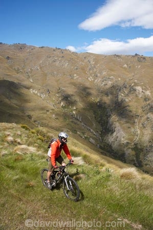 back-country;backcountry;bicycle;bicycles;bike;bikes;Central-Otago;cycle;cycler;cyclers;cycles;cyclist;cyclists;Dunstan-Mountains;high-altitude;high-country;highcountry;highlands;mountain-bike;mountain-biker;mountain-bikers;mountain-bikes;mtn-bike;mtn-biker;mtn-bikers;mtn-bikes;N.Z.;New-Zealand;NZ;Otago;push-bike;push-bikes;push_bike;push_bikes;pushbike;pushbikes;recreation;remote;remoteness;S.I.;SI;South-Island;tussock;tussock-grass;tussocks;uiplands;upland;uplands