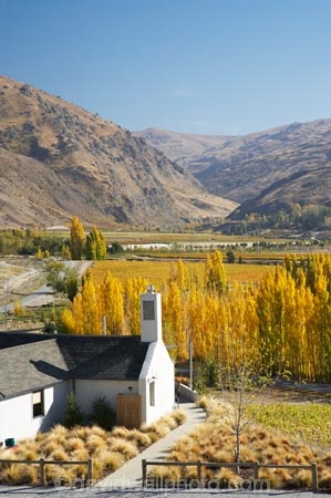agricultural;agriculture;autuminal;autumn;autumn-colour;autumn-colours;autumnal;Bannockburn;bar;bars;cafe;cafes;Central-Otago;central-otago-vineyard;central-otago-vineyards;central-otago-wineries;central-otago-winery;color;colors;colour;colours;country;countryside;crop;crops;cuisine;cultivation;deciduous;dine;dining;fall;farm;farming;farmland;farms;field;fields;food;grape;grapes;grapevine;horticulture;leaf;leaves;Mt-Difficulty;Mt-Difficulty-Vineyard;Mt-Difficulty-Winery;Mt-Difficulty-Wines;N.Z.;new-zealand;NZ;poplar;poplar-tree;poplar-trees;poplars;restaurant;restaurants;row;rows;rural;S.I.;season;seasonal;seasons;SI;South-Island;tree;trees;vine;vines;vineyard;vineyards;vintage;wine;wineage;wineries;winery;wines;yellow