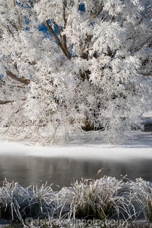 agricultural;agriculture;beautiful;calm;calmness;Central-Otago;Central-Otago-Rail-Trail;clean;clear;cold;Coldness;Color;Colour;country;countryside;Daytime;Exterior;farm;farming;farmland;farms;field;fields;freeze;freezing;freezing-fog;frost;Frosted;frosty;frozen-pond;frozen-ponds;high-country;hoar-frost;hoar-frosts;Hoarfrost;hoarfrosts;ice;ice-crystals;icy;idyllic;Landscape;Landscapes;Maniototo;meadow;meadows;N.Z.;natural;Nature;new-zealand;NZ;Omakau;Otago;Otago-Central-Rail-Trail;Outdoor;Outdoors;Outside;paddock;paddocks;pasture;pastures;peaceful;Peacefulness;phenomena;phenomenon;pond;ponds;pool;pools;pure;Quiet;Quietness;rail-trail;rail-trails;reservoir;reservoirs;rime;rime-ice;rural;S.I.;Scenic;Scenics;Season;Seasons;SI;silence;south-island;spectacular;stunning;tranquil;tranquility;tree;trees;view;water;weather;White;willow;willow-tree;willow-trees;willows;winter;Wintertime;wintery;wintry