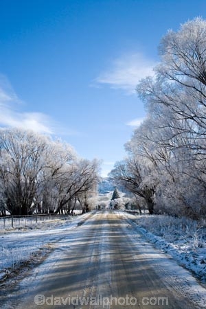 agricultural;agriculture;beautiful;calm;calmness;Central-Otago;clean;clear;cold;Coldness;Color;Colour;country;countryside;Daytime;dusty;Exterior;farm;farming;farmland;farms;field;fields;freeze;freezing;freezing-fog;frost;Frosted;frosty;gravel-road;gravel-roads;high-country;hoar-frost;hoar-frosts;Hoarfrost;hoarfrosts;ice;ice-crystals;icy;icy-road;icy-roads;Ida-Valley;idyllic;Landscape;Landscapes;Maniototo;meadow;meadows;metal-road;metal-roads;metalled-road;metalled-roads;N.Z.;natural;Nature;new-zealand;NZ;Otago;Oturehua;Outdoor;Outdoors;Outside;paddock;paddocks;pasture;pastures;peaceful;Peacefulness;phenomena;phenomenon;pure;Quiet;Quietness;rime;rime-ice;road;roads;rural;S.I.;Scenic;Scenics;Season;Seasons;SI;silence;slippery-road;slippery-roads;south-island;spectacular;stunning;tranquil;tranquility;tree;trees;view;water;weather;White;willow;willow-tree;willow-trees;willows;winter;winter-driving;winter-driving-conditions;winter-road;winter-roads;Wintertime;wintery;wintry