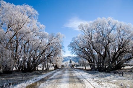 agricultural;agriculture;beautiful;bridge;bridges;calm;calmness;Central-Otago;clean;clear;cold;Coldness;Color;Colour;country;countryside;Daytime;dusty;Exterior;farm;farming;farmland;farms;field;fields;freeze;freezing;freezing-fog;frost;Frosted;frosty;gravel-road;gravel-roads;high-country;hoar-frost;hoar-frosts;Hoarfrost;hoarfrosts;ice;ice-crystals;icy;icy-road;icy-roads;Ida-Valley;idyllic;Landscape;Landscapes;Maniototo;meadow;meadows;metal-road;metal-roads;metalled-road;metalled-roads;N.Z.;natural;Nature;new-zealand;NZ;Otago;Oturehua;Outdoor;Outdoors;Outside;paddock;paddocks;pasture;pastures;peaceful;Peacefulness;phenomena;phenomenon;pure;Quiet;Quietness;rime;rime-ice;road;road-bridge;road-bridges;roads;rural;S.I.;Scenic;Scenics;Season;Seasons;SI;silence;slippery-road;slippery-roads;south-island;spectacular;stunning;traffic-bridge;traffic-bridges;tranquil;tranquility;tree;trees;view;water;weather;White;willow;willow-tree;willow-trees;willows;winter;winter-driving;winter-driving-conditions;winter-road;winter-roads;Wintertime;wintery;wintry