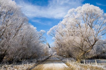 agricultural;agriculture;beautiful;calm;calmness;Central-Otago;clean;clear;cold;Coldness;Color;Colour;country;countryside;Daytime;dusty;Exterior;farm;farming;farmland;farms;field;fields;freeze;freezing;freezing-fog;frost;Frosted;frosty;gravel-road;gravel-roads;high-country;hoar-frost;hoar-frosts;Hoarfrost;hoarfrosts;ice;ice-crystals;icy;icy-road;icy-roads;Ida-Valley;idyllic;Landscape;Landscapes;Maniototo;meadow;meadows;metal-road;metal-roads;metalled-road;metalled-roads;N.Z.;natural;Nature;new-zealand;NZ;Otago;Oturehua;Outdoor;Outdoors;Outside;paddock;paddocks;pasture;pastures;peaceful;Peacefulness;phenomena;phenomenon;pure;Quiet;Quietness;rime;rime-ice;road;roads;rural;S.I.;Scenic;Scenics;Season;Seasons;SI;silence;slippery-road;slippery-roads;south-island;spectacular;stunning;tranquil;tranquility;tree;trees;view;water;weather;White;willow;willow-tree;willow-trees;willows;winter;winter-driving;winter-driving-conditions;winter-road;winter-roads;Wintertime;wintery;wintry
