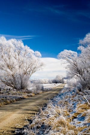 agricultural;agriculture;beautiful;calm;calmness;Central-Otago;clean;clear;cold;Coldness;Color;Colour;country;countryside;Daytime;dusty;Exterior;farm;farming;farmland;farms;field;fields;freeze;freezing;freezing-fog;frost;Frosted;frosty;gravel-road;gravel-roads;high-country;hoar-frost;hoar-frosts;Hoarfrost;hoarfrosts;ice;ice-crystals;icy;Ida-Valley;idyllic;Landscape;Landscapes;Maniototo;meadow;meadows;metal-road;metal-roads;metalled-road;metalled-roads;N.Z.;natural;Nature;new-zealand;NZ;Otago;Oturehua;Outdoor;Outdoors;Outside;paddock;paddocks;pasture;pastures;peaceful;Peacefulness;phenomena;phenomenon;pure;Quiet;Quietness;rime;rime-ice;road;roads;rural;S.I.;Scenic;Scenics;Season;Seasons;SI;silence;south-island;spectacular;stunning;tranquil;tranquility;tree;trees;view;water;weather;White;willow;willow-tree;willow-trees;willows;winter;Wintertime;wintery;wintry