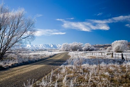 agricultural;agriculture;beautiful;calm;calmness;Central-Otago;clean;clear;cold;Coldness;Color;Colour;country;countryside;Daytime;dusty;Exterior;farm;farming;farmland;farms;field;fields;freeze;freezing;freezing-fog;frost;Frosted;frosty;gravel-road;gravel-roads;Hawkdun-Range;Hawkdun-Ranges;high-country;hoar-frost;hoar-frosts;Hoarfrost;hoarfrosts;ice;ice-crystals;icy;Ida-Valley;idyllic;Landscape;Landscapes;Maniototo;meadow;meadows;metal-road;metal-roads;metalled-road;metalled-roads;N.Z.;natural;Nature;new-zealand;NZ;Otago;Oturehua;Outdoor;Outdoors;Outside;paddock;paddocks;pasture;pastures;peaceful;Peacefulness;phenomena;phenomenon;pure;Quiet;Quietness;rime;rime-ice;road;roads;rural;S.I.;Scenic;Scenics;Season;Seasons;SI;silence;south-island;spectacular;stunning;tranquil;tranquility;tree;trees;view;water;weather;White;willow;willow-tree;willow-trees;willows;winter;Wintertime;wintery;wintry