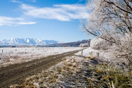 agricultural;agriculture;beautiful;calm;calmness;Central-Otago;Central-Otago-Rail-Trail;clean;clear;cold;Coldness;Color;Colour;country;countryside;Daytime;Exterior;farm;farming;farmland;farms;field;fields;freeze;freezing;freezing-fog;frost;Frosted;frosty;Hawkdun-Range;Hawkdun-Ranges;high-country;hoar-frost;hoar-frosts;Hoarfrost;hoarfrosts;ice;ice-crystals;icy;Ida-Valley;idyllic;Landscape;Landscapes;Maniototo;meadow;meadows;N.Z.;natural;Nature;new-zealand;NZ;Otago;Otago-Central-Rail-Trail;Oturehua;Outdoor;Outdoors;Outside;paddock;paddocks;pasture;pastures;peaceful;Peacefulness;phenomena;phenomenon;pure;Quiet;Quietness;rail-trail;rail-trails;rime;rime-ice;rural;S.I.;Scenic;Scenics;Season;Seasons;SI;silence;south-island;spectacular;stunning;tranquil;tranquility;tree;trees;view;water;weather;White;willow;willow-tree;willow-trees;willows;winter;Wintertime;wintery;wintry