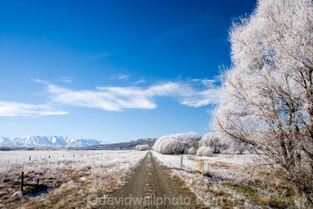 agricultural;agriculture;beautiful;calm;calmness;Central-Otago;Central-Otago-Rail-Trail;clean;clear;cold;Coldness;Color;Colour;country;countryside;Daytime;Exterior;farm;farming;farmland;farms;field;fields;freeze;freezing;freezing-fog;frost;Frosted;frosty;Hawkdun-Range;Hawkdun-Ranges;high-country;hoar-frost;hoar-frosts;Hoarfrost;hoarfrosts;ice;ice-crystals;icy;Ida-Valley;idyllic;Landscape;Landscapes;Maniototo;meadow;meadows;N.Z.;natural;Nature;new-zealand;NZ;Otago;Otago-Central-Rail-Trail;Oturehua;Outdoor;Outdoors;Outside;paddock;paddocks;pasture;pastures;peaceful;Peacefulness;phenomena;phenomenon;pure;Quiet;Quietness;rail-trail;rail-trails;rime;rime-ice;rural;S.I.;Scenic;Scenics;Season;Seasons;SI;silence;south-island;spectacular;stunning;tranquil;tranquility;tree;trees;view;water;weather;White;willow;willow-tree;willow-trees;willows;winter;Wintertime;wintery;wintry