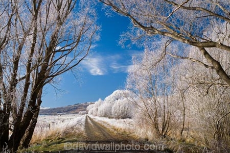 agricultural;agriculture;beautiful;calm;calmness;Central-Otago;Central-Otago-Rail-Trail;clean;clear;cold;Coldness;Color;Colour;country;countryside;Daytime;Exterior;farm;farming;farmland;farms;field;fields;freeze;freezing;freezing-fog;frost;Frosted;frosty;high-country;hoar-frost;hoar-frosts;Hoarfrost;hoarfrosts;ice;ice-crystals;icy;Ida-Valley;idyllic;Landscape;Landscapes;Maniototo;meadow;meadows;N.Z.;natural;Nature;new-zealand;NZ;Otago;Otago-Central-Rail-Trail;Oturehua;Outdoor;Outdoors;Outside;paddock;paddocks;pasture;pastures;peaceful;Peacefulness;phenomena;phenomenon;pure;Quiet;Quietness;rail-trail;rail-trails;rime;rime-ice;rural;S.I.;Scenic;Scenics;Season;Seasons;SI;silence;south-island;spectacular;stunning;tranquil;tranquility;tree;trees;view;water;weather;White;willow;willow-tree;willow-trees;willows;winter;Wintertime;wintery;wintry
