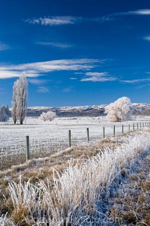 agricultural;agriculture;beautiful;calm;calmness;Central-Otago;clean;clear;cold;Coldness;Color;Colour;country;countryside;Daytime;Exterior;farm;farming;farmland;farms;fence;fence-line;fence-lines;fence_line;fence_lines;fenceline;fencelines;fences;field;fields;freeze;freezing;freezing-fog;frost;Frosted;frosty;high-country;hoar-frost;hoar-frosts;Hoarfrost;hoarfrosts;ice;ice-crystals;icy;Ida-Valley;idyllic;Landscape;Landscapes;Maniototo;meadow;meadows;N.Z.;natural;Nature;new-zealand;NZ;Otago;Outdoor;Outdoors;Outside;paddock;paddocks;pasture;pastures;peaceful;Peacefulness;phenomena;phenomenon;Poolburn;poplar;poplar-tree;poplar-trees;poplars;pure;Quiet;Quietness;rime;rime-ice;rural;S.I.;Scenic;Scenics;Season;Seasons;SI;silence;south-island;spectacular;stunning;tranquil;tranquility;tree;trees;view;water;weather;White;willow;willow-tree;willow-trees;willows;winter;Wintertime;wintery;wintry