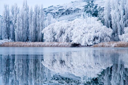 Alexandra;beautiful;Butchers-Dam;calm;calmness;Central-Otago;clean;clear;cold;Coldness;Color;Colour;dam;dams;Daytime;Exterior;freeze;freezing;freezing-fog;frost;Frosted;frosty;frozen-dam;frozen-dams;frozen-lake;frozen-lakes;frozen-pond;frozen-ponds;frozen-water;high-country;hoar-frost;hoar-frosts;Hoarfrost;hoarfrosts;ice;ice-crystals;icy;idyllic;lake;lakes;Landscape;Landscapes;N.Z.;natural;Nature;new-zealand;NZ;Otago;Outdoor;Outdoors;Outside;peaceful;Peacefulness;phenomena;phenomenon;placid;pond;ponds;poplar;poplar-tree;poplar-trees;poplars;pure;Quiet;Quietness;reflection;reflections;reservoir;reservoirs;rime;rime-ice;S.I.;Scenic;Scenics;Season;Seasons;serene;SI;silence;smooth;south-island;spectacular;still;stunning;tranquil;tranquility;tree;trees;view;water;weather;weeping-willow;weeping-willows;White;willow;willow-tree;willow-trees;willows;winter;Wintertime;wintery;wintry