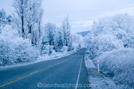 beautiful;calm;calmness;Central-Otago;clean;clear;cold;Coldness;Color;Colour;Daytime;driving;Exterior;freeze;freezing;freezing-fog;frost;Frosted;frosty;high-country;highway;highways;hoar-frost;hoar-frosts;Hoarfrost;hoarfrosts;ice;ice-crystals;icy;icy-road;icy-roads;idyllic;Landscape;Landscapes;N.Z.;natural;Nature;new-zealand;NZ;open-road;open-roads;Otago;Outdoor;Outdoors;Outside;peaceful;Peacefulness;phenomena;phenomenon;poplar;poplar-tree;poplar-trees;poplars;pure;Quiet;Quietness;rime;rime-ice;road;road-trip;roads;S.I.;Scenic;Scenics;Season;Seasons;SI;silence;slippery-road;slippery-roads;south-island;spectacular;straight;stunning;tranquil;tranquility;transport;transportation;travel;traveling;travelling;tree;trees;trip;view;water;weather;White;winter;winter-driving;winter-driving-conditions;winter-road;winter-roads;Wintertime;wintery;wintry