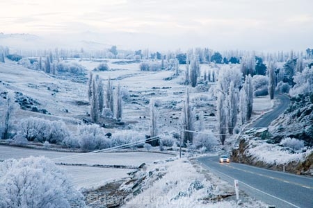 agricultural;agriculture;beautiful;calm;calmness;Central-Otago;clean;clear;cold;Coldness;Color;Colour;country;countryside;Daytime;driving;Exterior;farm;farming;farmland;farms;field;fields;freeze;freezing;freezing-fog;frost;Frosted;frosty;high-country;highway;highways;hoar-frost;hoar-frosts;Hoarfrost;hoarfrosts;ice;ice-crystals;icy;icy-road;icy-roads;idyllic;Landscape;Landscapes;meadow;meadows;N.Z.;natural;Nature;new-zealand;NZ;open-road;open-roads;Otago;Outdoor;Outdoors;Outside;paddock;paddocks;pasture;pastures;peaceful;Peacefulness;phenomena;phenomenon;poplar;poplar-tree;poplar-trees;poplars;pure;Quiet;Quietness;rime;rime-ice;road;road-trip;roads;rural;S.I.;Scenic;Scenics;Season;Seasons;SI;silence;slippery-road;slippery-roads;south-island;spectacular;straight;stunning;tranquil;tranquility;transport;transportation;travel;traveling;travelling;tree;trees;trip;view;water;weather;White;willow;willow-tree;willow-trees;willows;winter;winter-driving;winter-driving-conditions;winter-road;winter-roads;Wintertime;wintery;wintry