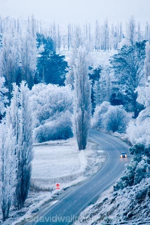 agricultural;agriculture;beautiful;calm;calmness;Central-Otago;clean;clear;cold;Coldness;Color;Colour;country;countryside;Daytime;driving;Exterior;farm;farming;farmland;farms;field;fields;freeze;freezing;freezing-fog;frost;Frosted;frosty;high-country;highway;highways;hoar-frost;hoar-frosts;Hoarfrost;hoarfrosts;ice;ice-crystals;icy;icy-road;icy-roads;idyllic;Landscape;Landscapes;meadow;meadows;N.Z.;natural;Nature;new-zealand;NZ;open-road;open-roads;Otago;Outdoor;Outdoors;Outside;paddock;paddocks;pasture;pastures;peaceful;Peacefulness;phenomena;phenomenon;poplar;poplar-tree;poplar-trees;poplars;pure;Quiet;Quietness;rime;rime-ice;road;road-trip;roads;rural;S.I.;Scenic;Scenics;Season;Seasons;SI;silence;slippery-road;slippery-roads;south-island;spectacular;straight;stunning;tranquil;tranquility;transport;transportation;travel;traveling;travelling;tree;trees;trip;view;water;weather;White;willow;willow-tree;willow-trees;willows;winter;winter-driving;winter-driving-conditions;winter-road;winter-roads;Wintertime;wintery;wintry