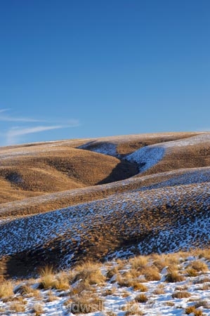 Central-Otago;highway;highways;hill;hills;Maniototo;N.Z.;natural;New-Zealand;NZ;Otago;Pig-Root-Highway;Pig-Route-Highway;Pigroot-Highway;Pigroute-Highway;rolling-hills;S.I.;scenic;SI;snow-snowy;South-Is.;South-Island;State-Highway-87;tussock;tussocks