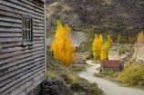 autuminal;autumn;autumn-colour;autumn-colours;autumnal;building;buildings;Central-Otago;color;colors;colour;colours;deciduous;fall;gold-mines;gold-mining;goldfield-relics;Goldfields;Goldfields-Mining-Centre;goldfields-relics;Goldfields-tourist-attraction;heritage;historic;historic-building;historic-buildings;historic-place;historic-places;historic-site;historic-sites;historical;historical-building;historical-buildings;historical-place;historical-places;historical-site;historical-sites;history;Kawarau-Gorge;leaf;leaves;N.Z.;New-Zealand;NZ;old;Otago;Otago-Goldfields;polars;poplar-tree;poplar-trees;S.I.;season;seasonal;seasons;SI;South-Is;South-Island;tradition;traditional;tree;trees
