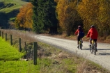 autuminal;autumn;autumn-colour;autumn-colours;autumnal;bicycle;bicycles;bike;bike-track;bike-tracks;bike-trail;bike-trails;bikes;Central-Otago;Clutha-Gold-Bike-Trail;Clutha-Gold-Cycle-Trail;Clutha-Gold-Track;Clutha-Gold-Trail;color;colors;colour;colours;cycle;cycle-track;cycle-tracks;cycle-trail;cycle-trails;cycler;cyclers;cycles;cycleway;cycleways;cyclist;cyclists;deciduous;excercise;excercising;fall;gold;golden;Lawrence;leaf;leaves;model-released;mountain-bike;mountain-biker;mountain-bikers;mountain-bikes;MR;mtn-bike;mtn-biker;mtn-bikers;mtn-bikes;N.Z.;New-Zealand;NZ;Otago;people;person;push-bike;push-bikes;push_bike;push_bikes;pushbike;pushbikes;S.I.;season;seasonal;seasons;SI;South-Is;South-Island;Sth-Is;tree;trees;yellow