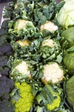 cabbage;cabbages;cauli_broc;cauli_brocs;caulibroc;caulibrocs;cauliflower;cauliflowers;Central-Otago;colorful;colourful;commerce;commercial;food;food-market;food-markets;food-stall;food-stalls;fruit;fruit-and-vegetables;fruit-market;market;market-place;market_place;marketplace;markets;New-Zealand;produce;produce-market;produce-markets;product;products;retail;retailer;retailers;shop;shopping;shops;South-Island;stall;stalls;steet-scene;street-scenes;vegetable;vegetable-stall;vegetables