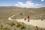 4wd-track;4wd-tracks;adventure;adventure-sport;adventure-sports;adventurous;back-country;backcountry;bicycle;bicycles;bike;bikes;Carrick-Range;Carrick-Town-Track;Carrick-Track;Carricktown-Track;Central-Otago;countryside;cross-country;cycle;cycler;cyclers;cycles;cyclist;cyclists;dirt-track;dusty;four-wheel-drive-track;four-wheel-drive-tracks;gravel-road;gravel-roads;high-altitude;high-country;highcountry;highlands;metal-road;metal-roads;metalled-road;metalled-roads;mountain-bike;mountain-biker;mountain-bikers;mountain-bikes;mtn-bike;mtn-biker;mtn-bikers;mtn-bikes;N.Z.;New-Zealand;NZ;Otago;outdoors;push-bike;push-bikes;push_bike;push_bikes;pushbike;pushbikes;remote;remoteness;road;roads;rural;S.I.;SI;South-Island;sport;track;tracks;tussock;tussock-grass;tussocks;uplands