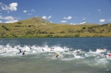 freestyle;Lake-Hayes;Lake-Hayes-Triathalon;multi-sport;multi_sport;multisport;New-Zealand;Otago;Queenstown;race;racers;races;racing;South-Island;splash;splashing;sport;sports;sportsman;sportsmen;sportswoman;sportswomen;swim;swimmer;Swimmers;Triathalon;triathalons;triathlon;triathlons