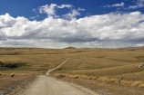 4wd-track;4wd-tracks;back-country;backcountry;Central-Otago;countryside;dirt-track;Dunstan-Track;Dunstan-Trail;dusty;four-wheel-drive-track;four-wheel-drive-tracks;goldfields;Goldrush;gravel-road;gravel-roads;Great-Moss-Swamp;high-altitude;high-country;highcountry;highlands;historic;historic-road;historic-route;historical;metal-road;metal-roads;metalled-road;metalled-roads;N.Z.;New-Zealand;NZ;Old-Dunstan-Trail;Otago;remote;remoteness;road;roads;rural;S.I.;SI;South-Island;track;tracks;tussock;tussock-grass;tussocks;uplands