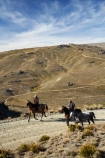 back-country;backcountry;Carrick-Range;cavalcade;Central-Otago;Central-Otago-Cavalcade;cow-boy;cow-boys;cowboy;cowboys;Duffers-Saddle;equestrian;high-country;Highcountry;highland;highlands;horse;horse-rider;horse-riders;horseback;horseman;horsemen;horses;N.Z.;Nevis-Road;Nevis-Valley;New-Zealand;NZ;rider;riders;S.I.;SI;South-Island;stockman;stockmen