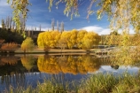 agricultural;agriculture;autuminal;autumn;autumn-colour;autumn-colours;autumnal;Bannockburn;Bannockburn-Inlet;calm;Central-Otago;central-otago-vineyard;central-otago-vineyards;central-otago-wineries;central-otago-winery;color;colors;colour;colours;country;countryside;crop;crops;cultivation;deciduous;fall;farm;farming;farmland;farms;field;fields;golden;grape;grapes;grapevine;horticulture;lake;Lake-Dunstan;lakes;leaf;leaves;N.Z.;new-zealand;NZ;Otago;placid;quiet;reflection;reflections;row;rows;rural;S.I.;season;seasonal;seasons;serene;SI;smooth;South-Island;still;tranquil;tree;trees;vine;vines;vineyard;vineyards;vintage;water;willow;willow-tree;willow-trees;willows;wineage;wineries;winery;wines;yellow