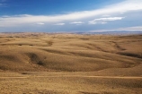 back-country;backcountry;Central-Otago;country;countryside;farm;farming;farmland;farms;field;fields;high-country;highcountry;highland;highlands;Lammermoor-Range;Lammermoor-Ranges;Maniototo;N.Z.;New-Zealand;NZ;Old-Dunstan-Road;Old-Dunstan-Track;Old-Dunstan-Trail;Otago;rural;S.I.;SI;South-Island;tussock;tussocks