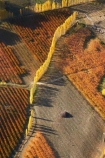 aerial;aerial-photo;aerial-photograph;aerial-photographs;aerial-photography;aerial-photos;aerial-view;aerial-views;aerials;Alexandra;autuminal;autumn;autumn-colour;autumn-colours;autumnal;Central-Otago;color;colors;colour;colours;country;countryside;crop;crops;deciduous;Earnscleugh;fall;farm;farming;farmland;farms;field;fruit;fruit-tree;fruit-trees;horticulture;N.Z.;New-Zealand;NZ;orange;orchard;orchards;Otago;pattern;patterns;poplar;poplar-tree;poplar-trees;poplars;row;rows;rural;S.I.;season;seasonal;seasons;shape;shapes;SI;South-Is.;South-Island;tree;trees;yellow