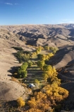 aerial;aerial-photo;aerial-photograph;aerial-photographs;aerial-photography;aerial-photos;aerial-view;aerial-views;aerials;agricultural;agriculture;arid;autuminal;autumn;autumn-colour;autumn-colours;autumnal;back-country;backcountry;Bannockburn;barren;Central-Otago;color;colors;colour;colours;contrast;contrasts;country;countryside;crop;crops;deciduous;drought;dry;fall;farm;farming;farmland;farms;field;fields;Hawksburn;high-altitude;high-country;highcountry;highlands;horticulture;irrigation;meadow;meadows;N.Z.;New-Zealand;NZ;oasis;Otago;paddock;paddocks;pasture;pastures;remote;remoteness;rural;S.I.;season;seasonal;seasons;semi_arid;SI;South-Is.;South-Island;tree;trees;uplands;valley;valleys;willow;willow-tree;willow-trees;willows