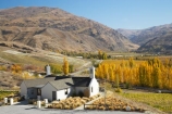 agricultural;agriculture;autuminal;autumn;autumn-colour;autumn-colours;autumnal;Bannockburn;bar;bars;cafe;cafes;Central-Otago;central-otago-vineyard;central-otago-vineyards;central-otago-wineries;central-otago-winery;color;colors;colour;colours;country;countryside;crop;crops;cuisine;cultivation;deciduous;dine;dining;fall;farm;farming;farmland;farms;field;fields;food;grape;grapes;grapevine;horticulture;leaf;leaves;Mt-Difficulty;Mt-Difficulty-Vineyard;Mt-Difficulty-Winery;Mt-Difficulty-Wines;N.Z.;new-zealand;NZ;poplar;poplar-tree;poplar-trees;poplars;restaurant;restaurants;row;rows;rural;S.I.;season;seasonal;seasons;SI;South-Island;tree;trees;vine;vines;vineyard;vineyards;vintage;wine;wineage;wineries;winery;wines;yellow