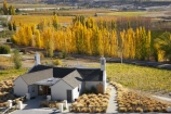 agricultural;agriculture;autuminal;autumn;autumn-colour;autumn-colours;autumnal;Bannockburn;bar;bars;cafe;cafes;Central-Otago;central-otago-vineyard;central-otago-vineyards;central-otago-wineries;central-otago-winery;color;colors;colour;colours;country;countryside;crop;crops;cuisine;cultivation;deciduous;dine;dining;fall;farm;farming;farmland;farms;field;fields;food;grape;grapes;grapevine;horticulture;leaf;leaves;Mt-Difficulty;Mt-Difficulty-Vineyard;Mt-Difficulty-Winery;Mt-Difficulty-Wines;N.Z.;new-zealand;NZ;poplar;poplar-tree;poplar-trees;poplars;restaurant;restaurants;row;rows;rural;S.I.;season;seasonal;seasons;SI;South-Island;tree;trees;vine;vines;vineyard;vineyards;vintage;wine;wineage;wineries;winery;wines;yellow