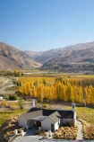 agricultural;agriculture;autuminal;autumn;autumn-colour;autumn-colours;autumnal;Bannockburn;bar;bars;cafe;cafes;Central-Otago;central-otago-vineyard;central-otago-vineyards;central-otago-wineries;central-otago-winery;color;colors;colour;colours;country;countryside;crop;crops;cuisine;cultivation;deciduous;dine;dining;fall;farm;farming;farmland;farms;field;fields;food;grape;grapes;grapevine;horticulture;leaf;leaves;Mt-Difficulty;Mt-Difficulty-Vineyard;Mt-Difficulty-Winery;Mt-Difficulty-Wines;N.Z.;new-zealand;NZ;poplar;poplar-tree;poplar-trees;poplars;restaurant;restaurants;row;rows;rural;S.I.;season;seasonal;seasons;SI;South-Island;tree;trees;vine;vines;vineyard;vineyards;vintage;wine;wineage;wineries;winery;wines;yellow
